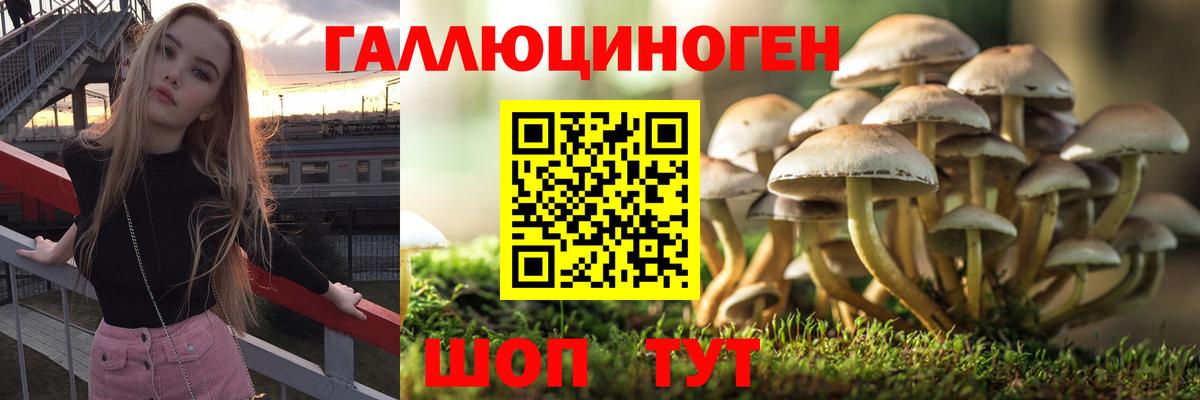 Партизанск  Галлюциногенные грибы Cubensis  Псилоцибиновые грибы GOLDEN TEACHER  Вход с VPN 